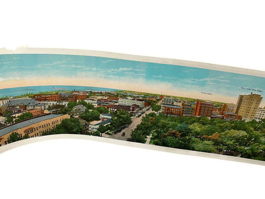 Rare St. Petersburg, Florida Panoramic Postcard